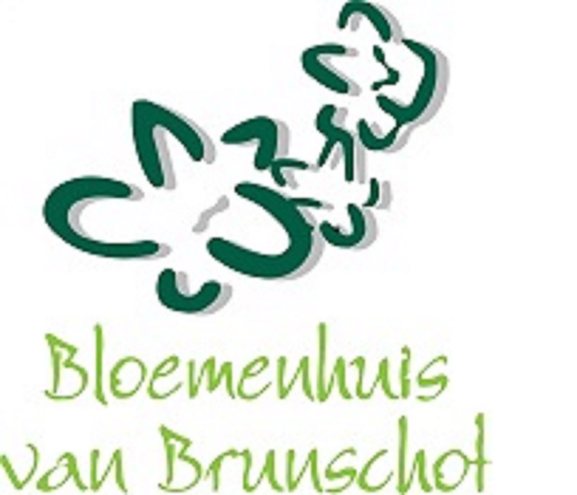 Naar de startpagina